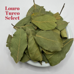 LOURO FOLHA