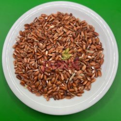 Arroz Selvagem Vermelho