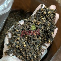 Cravo da Índia Flor