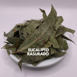 EUCALIPTO