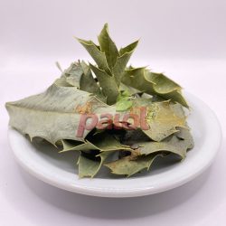 Espinheira Santa Rasurada