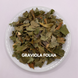GRAVIOLA FOLHA