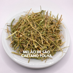 MELÃO SÃO CAETANO