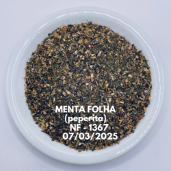 MENTA