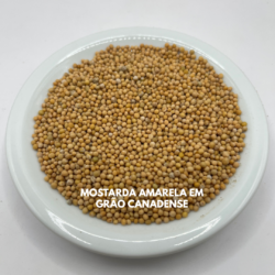 MOSTARDA EM GRÃOS