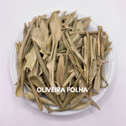 OLIVEIRA FOLHA