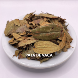PATA DE VACA