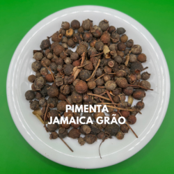 PIMENTA DA JAMAICA EM GRÃO