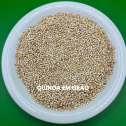 QUINOA EM GRÃO