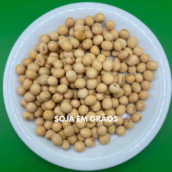 SOJA EM GRÃOS