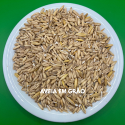 AVEIA GRÃO