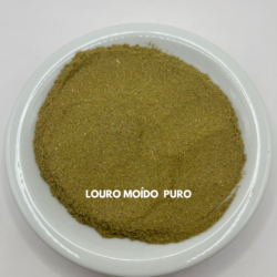 LOURO MOÍDO