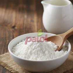 Leite de Coco em Pó Vegano