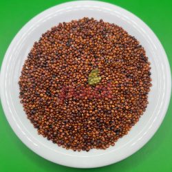Quinoa Vermelha