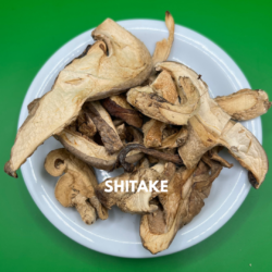 SHITAKE